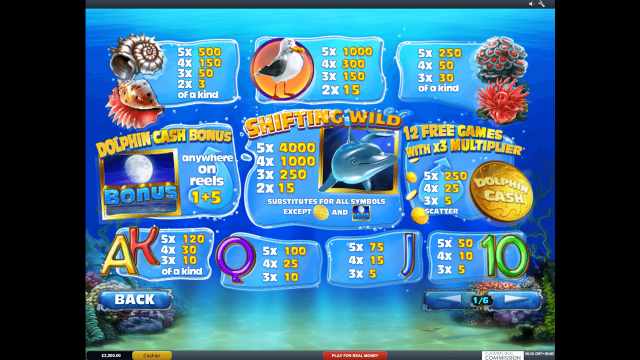 Бонусная игра Dolphin Cash 1